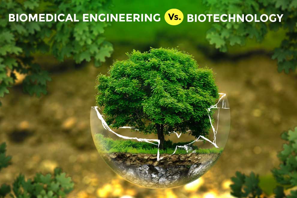 biomedical-engineering-vs-biotechnology