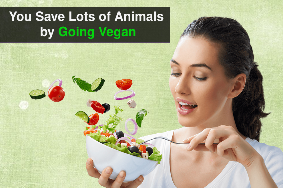 Save-Lots-of-Animals-by-Going-Vegan